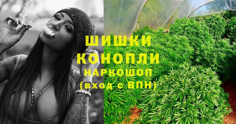 где купить наркотик  Весьегонск  Бошки Шишки SATIVA & INDICA 